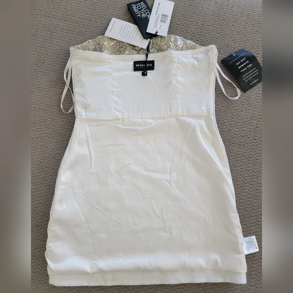 Retrofete Silver Mini Dress - Picture 7 of 13